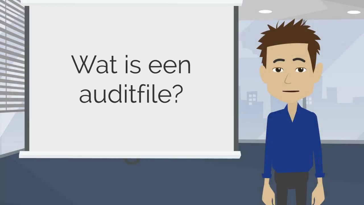 Update  Wat is een auditfile? Boekhoudkundige termen