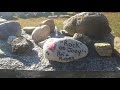 Finding Joey Ramone's grave --  Lyndhurst NJ