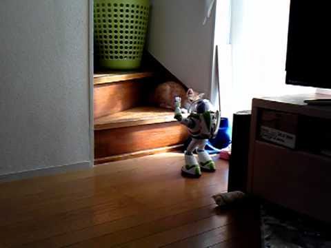 ぐんて　VS　バズ