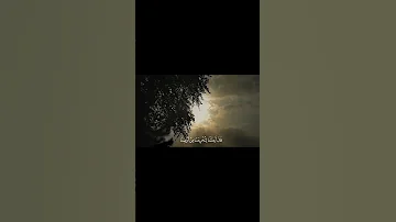 ولقد أريناه ءاياتنا كلها فكذب وأبي اكتب شئ تؤجر عليه 
