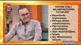 Prof Saracoglu Ile Ruh Ve Beden Sagligi Testere Disli Aslanpencesi Nin Faydalari Youtube