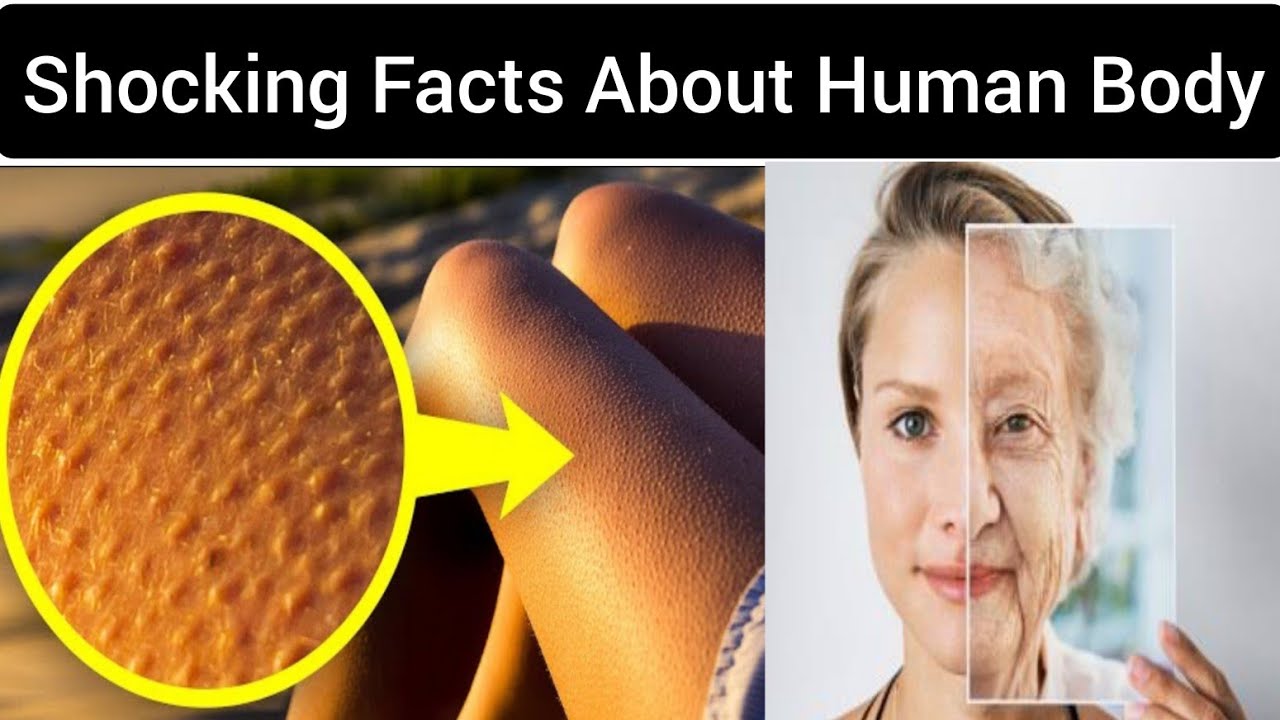 Most Interesting Facts And Shocking Information About Human Body In most-interesting-facts-and-shocking-information-about-human-body-in