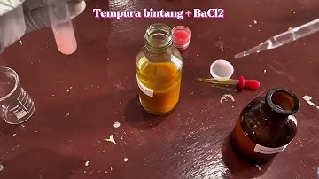 PROJECT BASED LEARNING | KELOMPOK 3 SHIFT C ANGKATAN 2024 | IDENTIFIKASI BORAKS PADA BAHAN PANGAN