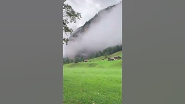 قل أفغير اللّه تأمروني أعبد أيها الجاهلون/مقطع قران قصير تلاوة خاشعة من روائع الشيخ عمر الدريويز