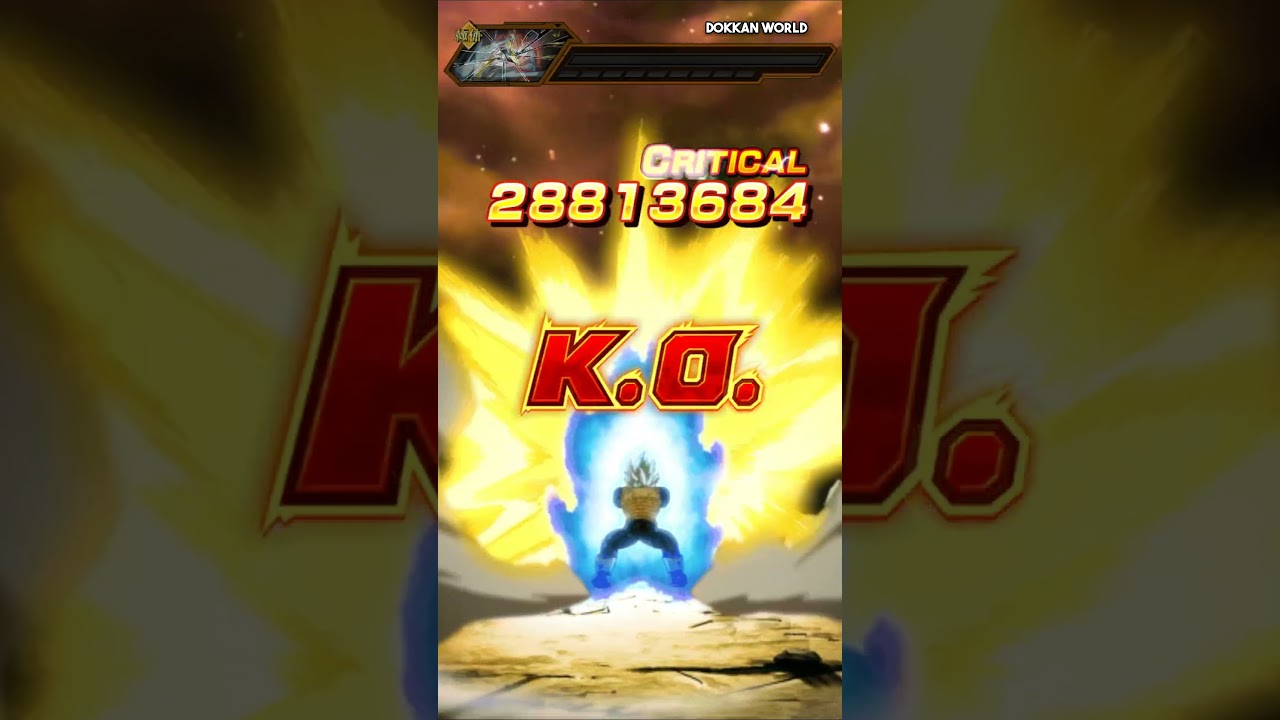 PHY LR SSBE Vegeta SA K.O. Screen