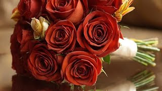 Happy Valentines Day