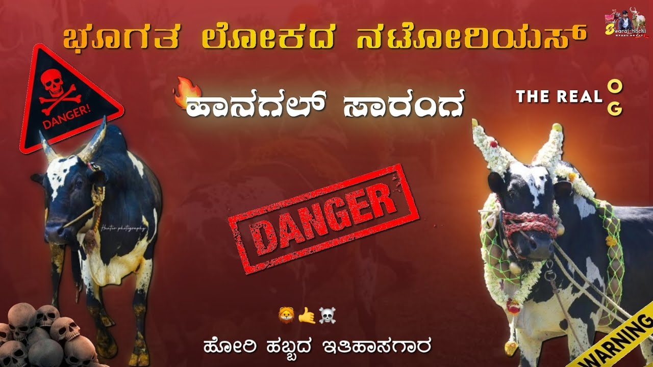 ಹೋರಿ ಹಬ್ಬದ ಇತಿಹಾಸಗಾರ ಹಾನಗಲ್ ಸಾರಂಗ ಅಧ್ಬುತ ಸಂದರ್ಶನ ಭಾಗ - 01💥💥 #horihabba #hori #jallikattu 