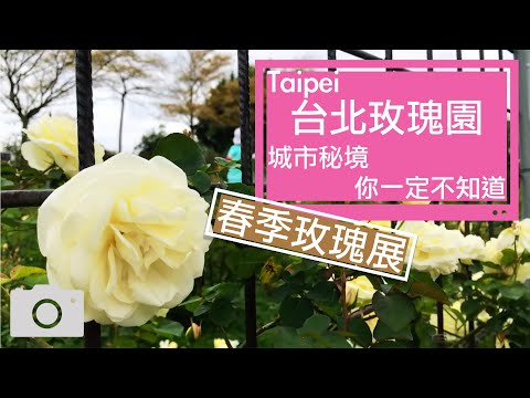 捻花惹草【JoEwalk】很少人知道的市區秘境-台北玫瑰園Rose Garden-春季玫瑰展-新生園區-旁邊就是林安泰古厝