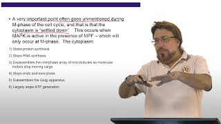 BIO181 Lecture 06 04 Capco