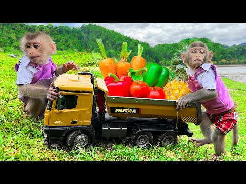 Farmer Bim Bim