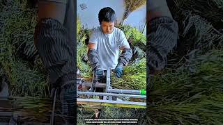How Rotating Straw Binder Twists Dry Grass Into Perfect Broom Heads