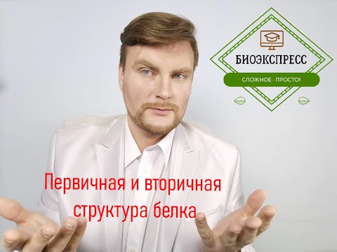 Первичная и вторичная структура белка. ЕГЭ Биология. ЕГЭ 2021.