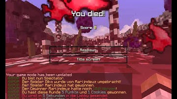 Hacker auf TheVace.net