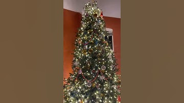 Decorating the Christmas tree! #shorts
