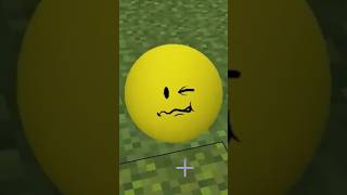 all verity #minecraft
