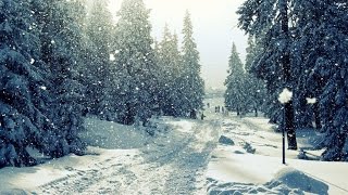 Positive Emotion Instrumental Music - Christmas Song [Royalty free] Resimi