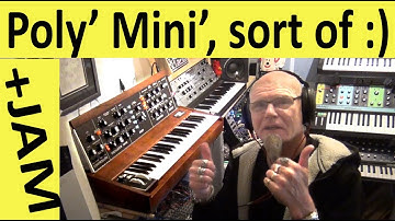 Minimoog model D 2022 reissue creating A minor + B minor chords synthesizer jam improvisation thing
