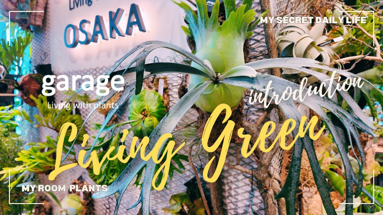 ★初公開★観葉植物とおしゃれ雑貨の楽園！新店舗【garageOSAKA】日本で1番素敵なお店