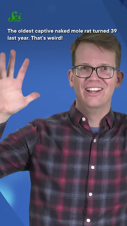 Why don’t naked mole rats age? #shorts #science #scishow