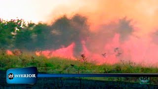Época De Queimadas Colocar Fogo Em Terrenos Também É Crime