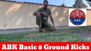 ABK Basic 8 Ground Kicks