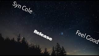 Syn Cole Feel Good  RELEASE