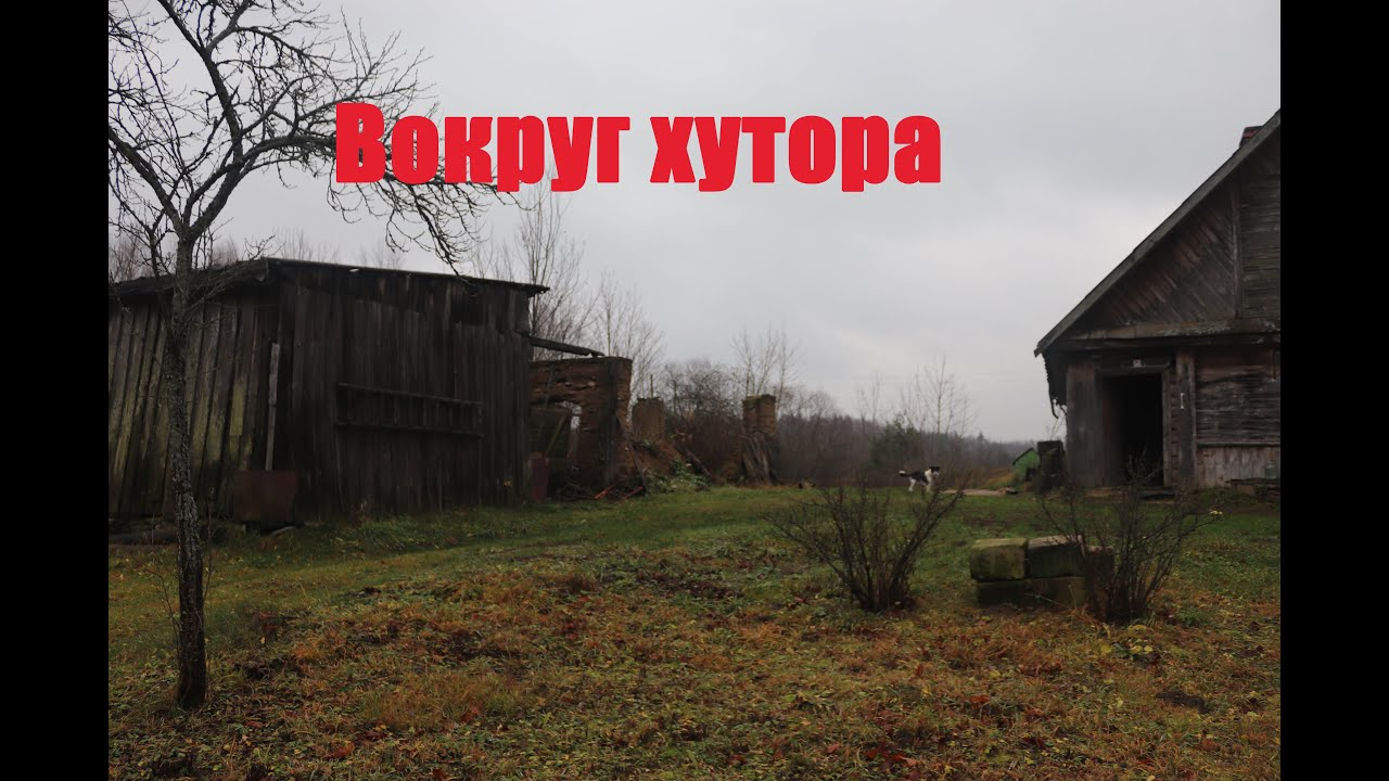 Живу на хуторе в латгалии