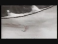 Espen Bredesen - 209m - Planica 1994