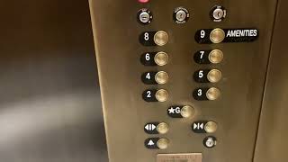 Beautiful 350 FPM ThyssenKrupp Traction Elevators At The SLS Lux In Miami FL