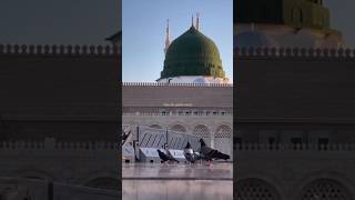 Ey Sevgili Bende Geldim Sana Ya Resulallah