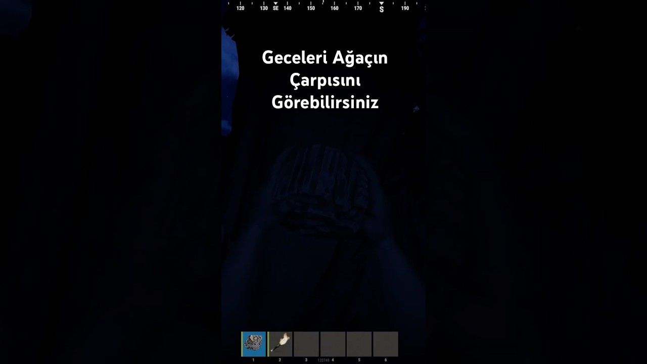 Geceleri Ağaçın Çarpısını Görebilirsiniz 