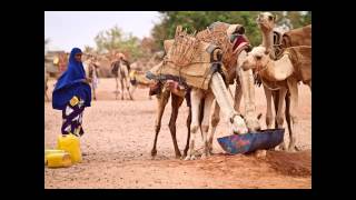Water-Story Fahad Bhatti Photowalk Dubai Inspire 3
