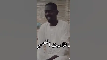 السودان الحقيبة كسلا 