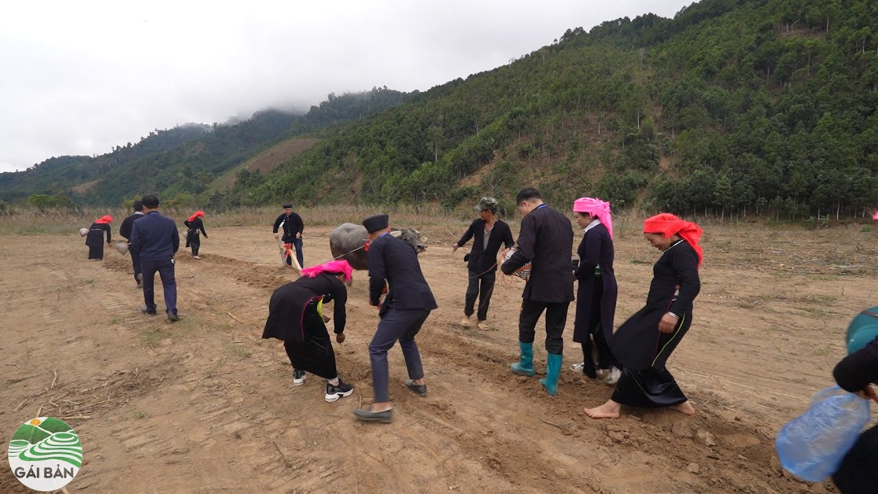 Lễ hội Lồng Tồng 