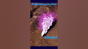 Satisfactory: All hail the purple slug!