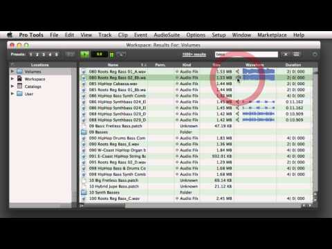 Using the Workspace in Pro Tools 11