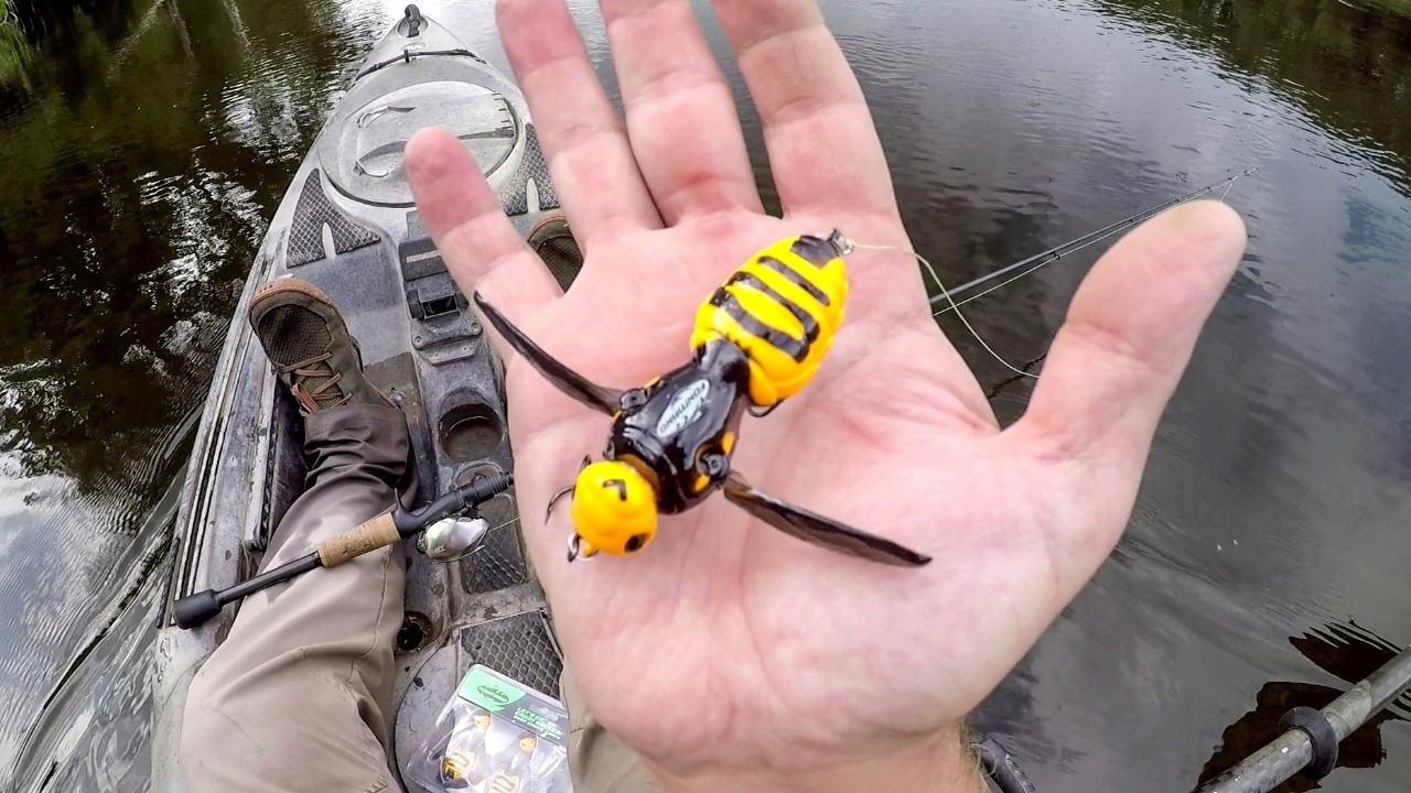 Stinging River Bass With A Big Wasp Crawler!