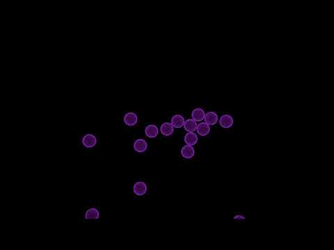 "Multi-Body Collision Demo" by Sachin Chaudhary