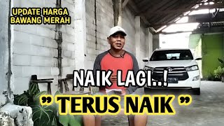 NAIK LAGI, TERUS NAIK | UPDATE HARGA BAWANG MERAH BJM CHANNEL 
