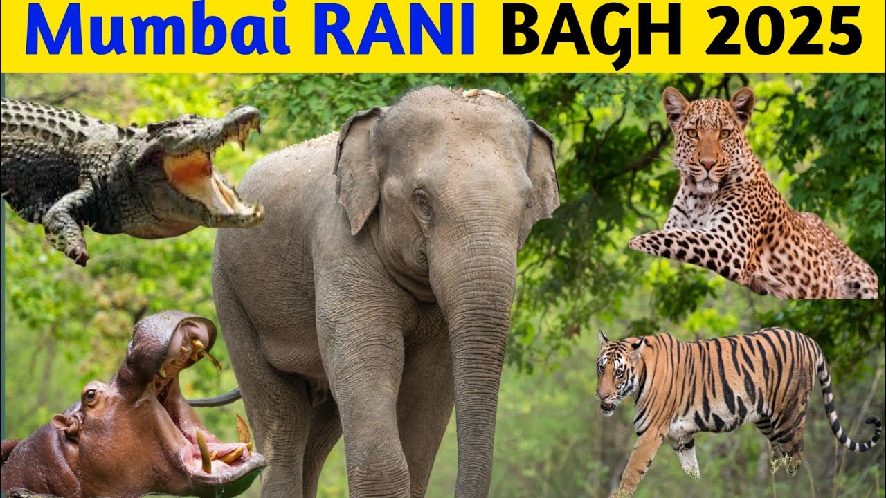 MUMBAI RANI BAGH 2025 | Jijamata Udyaan | Mumbai Zoo | Wildlife Zoo | रानी बाग़ मुम्बई चिड़ियाघर