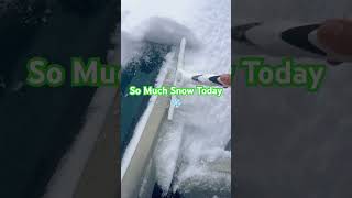 So Much Snow Today  Before The Work snow snowfall