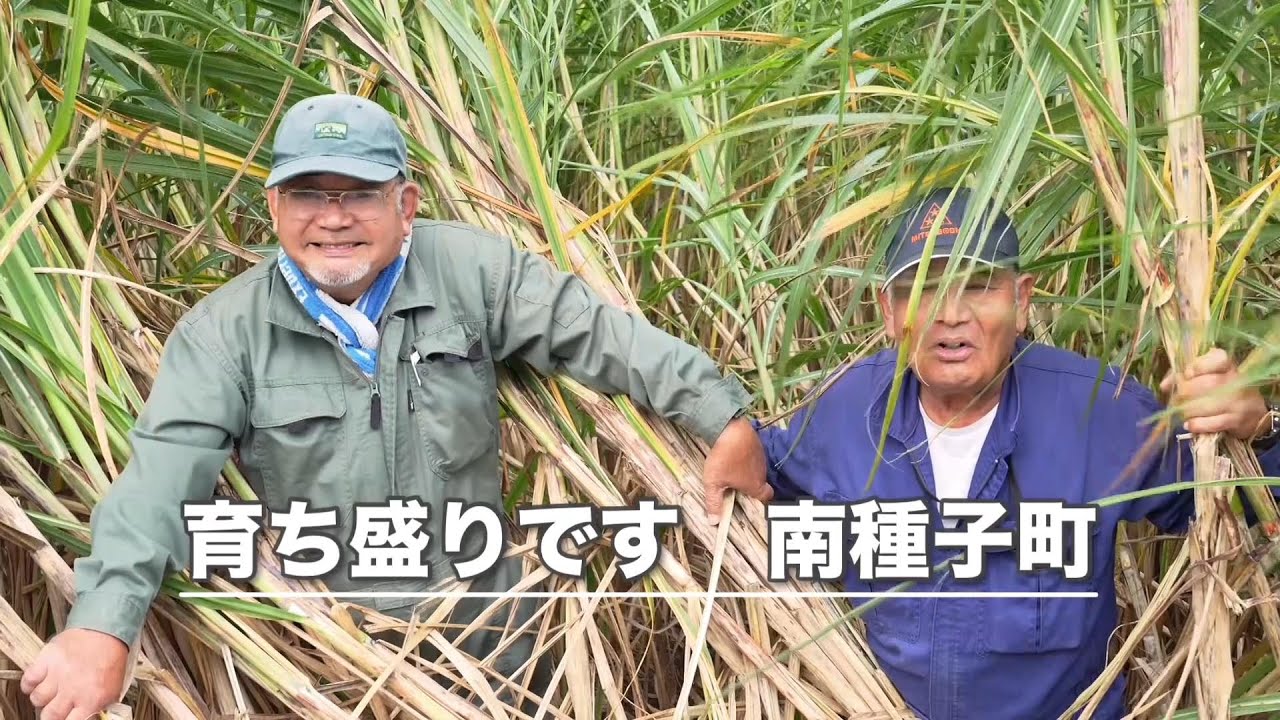 KKB鹿児島放送 | KKBふるさとCM・動画大賞2025 |全応募作品動画配信中！！
