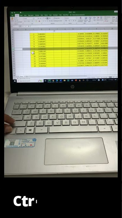 How to Add Rows in Excel using Shortcut?