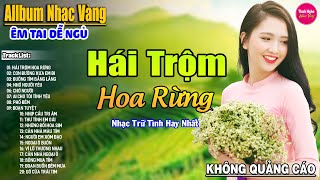 Hái Trộm Hoa Rừng ➤ LK Nhạc Vàng Xưa Hay Nhất Nhẹ Nhàng Sâu Lắng, Nghe Thử Một Lần Bạn Sẽ Nghiện