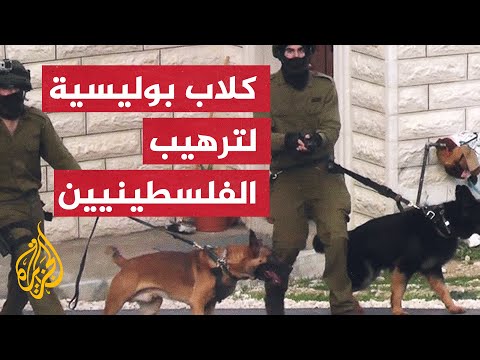 فلسطين.. قوات الاحتلال تعتدي بالكلاب البوليسية على الفلسطينيين