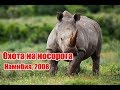 Охота на носорога | Намибия 2008  (RUS)