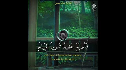 حالات واتس اب 😍🍃 اسلام صبحي من سورة الكهف ♥️