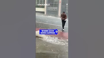 This Man Just Saved a Bird From A Hail Storm in Brazil🐦 #shorts