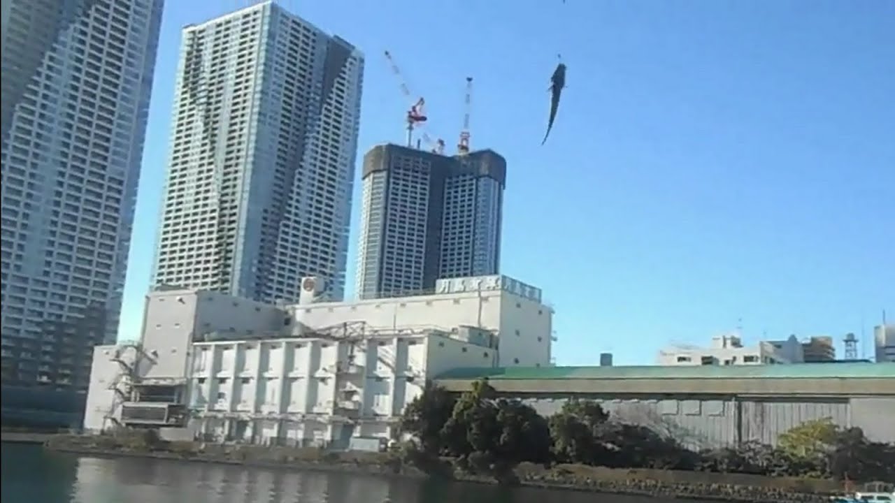 11月28日 月島でハゼ釣り Youtube