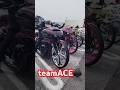 teamACE♠️ #HarleyDavidson #teamACE #ハーレー #shorts